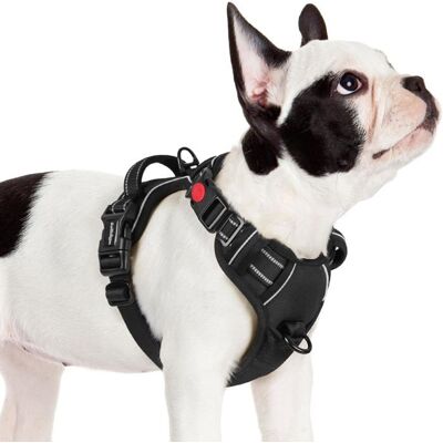 rabbitgoo Harnais Chien Anti Traction avec 3 boucles pour Chien Facile à Mettre Harnais Réfléchissant Réglable pour Chien Noir S Noir - Publicité rabbitgoo Harnais Chien Anti Traction avec 3 boucles pour Chien Facile à Mettre Harnais Réfléchissant Réglable pour Chien Noir S Noir - Publicité