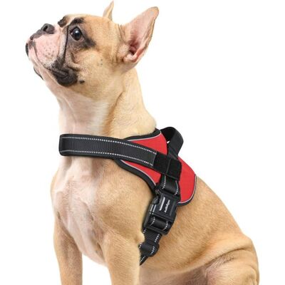 RABBITGOO Harnais Chien Harnais Anti Traction pour Chien Réfléchissant Réglable Respirant Facile à Mettre avec Poignée Contrôle Rouge S Rouge - Publicité RABBITGOO Harnais Chien Harnais Anti Traction pour Chien Réfléchissant Réglable Respirant Facile à Mettre avec Poignée Contrôle Rouge S Rouge - Publicité