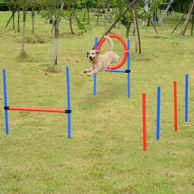 Generic Agility sport pour chiens équipement complet obstacles et entrainement 11 pièces avec sac de transport acier rouge et bleu Bleu - Publicité Generic Agility sport pour chiens équipement complet obstacles et entrainement 11 pièces avec sac de transport acier rouge et bleu Bleu - Publicité