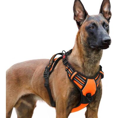 rabbitgoo Harnais Chien Anti Traction avec 3 boucles pour Chien Facile à Mettre Harnais Réfléchissant Réglable pour Chien orange XL Orange - Publicité rabbitgoo Harnais Chien Anti Traction avec 3 boucles pour Chien Facile à Mettre Harnais Réfléchissant Réglable pour Chien orange XL Orange - Publicité