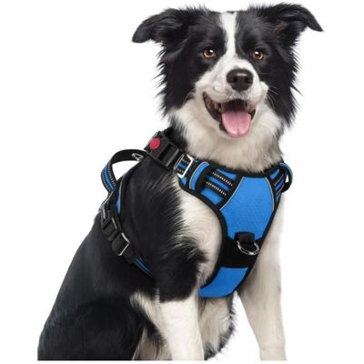 rabbitgoo Harnais Chien Anti Traction avec 3 boucles pour Chien Facile à Mettre Harnais Réfléchissant Réglable pour Chien Bleu M Bleu - Publicité rabbitgoo Harnais Chien Anti Traction avec 3 boucles pour Chien Facile à Mettre Harnais Réfléchissant Réglable pour Chien Bleu M Bleu - Publicité