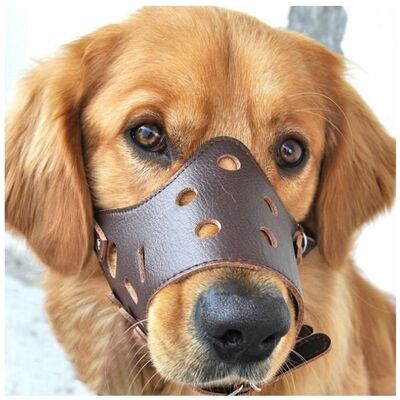 Chien en Cuir Muselière Anti-aboiement pour Les Grands Chiens de Petite Taille Moyenne L-Couleur marron foncé-cuir de haute qualité - Publicité Chien en Cuir Muselière Anti-aboiement pour Les Grands Chiens de Petite Taille Moyenne L-Couleur marron foncé-cuir de haute qualité - Publicité