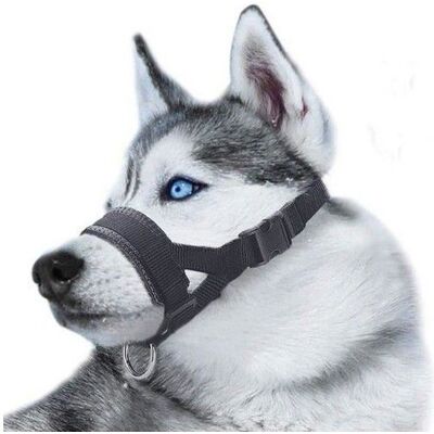 Muselière nylon réglable pour chien L (bouche 15–34 cm cou 42–50 cm) - anti-aboiement anti-morsure noir - Publicité Muselière nylon réglable pour chien L (bouche 15–34 cm cou 42–50 cm) - anti-aboiement anti-morsure noir - Publicité