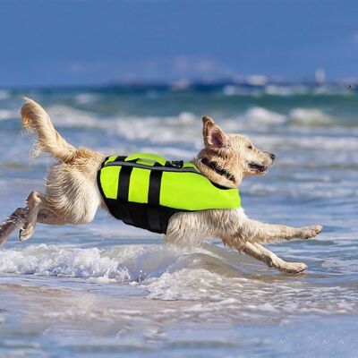 LIAIKI Gilet de Sauvetage pour Chien Portable Gilet de Natation pour Chien Gilet de Sauvetage de Compagnie avec Bande Réfléchissante - L Vert - Publicité LIAIKI Gilet de Sauvetage pour Chien Portable Gilet de Natation pour Chien Gilet de Sauvetage de Compagnie avec Bande Réfléchissante - L Vert - Publicité