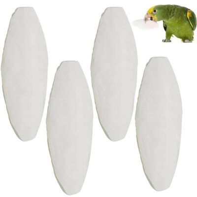 4pcs Oiseaux Os De SeicheOs de Seiche NaturelleCalcium À Mâcher Molaire pour Reptiles Tortue Escargots Petits Animaux(12cm) - Publicité 4pcs Oiseaux Os De SeicheOs de Seiche NaturelleCalcium À Mâcher Molaire pour Reptiles Tortue Escargots Petits Animaux(12cm) - Publicité