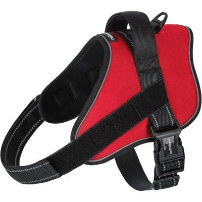 RABBITGOO Harnais Chien Harnais Anti Traction pour Chien Réfléchissant Réglable Respirant Facile à Mettre avec Poignée Contrôle Rouge M Rouge - Publicité RABBITGOO Harnais Chien Harnais Anti Traction pour Chien Réfléchissant Réglable Respirant Facile à Mettre avec Poignée Contrôle Rouge M Rouge - Publicité