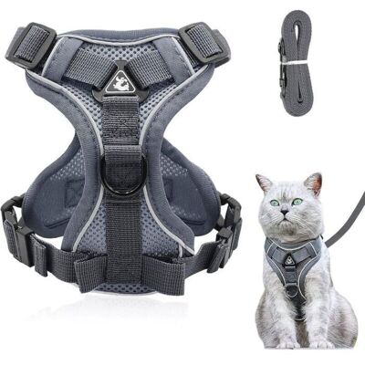 Harnais réglable Anti-éclatement pour Chat avec Laisse - Harnais Souple pour Chat - Harnais de Poitrine pour Chat - Chiot - Gris L Gris - Publicité Harnais réglable Anti-éclatement pour Chat avec Laisse - Harnais Souple pour Chat - Harnais de Poitrine pour Chat - Chiot - Gris L Gris - Publicité