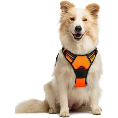 RABBITGOO Harnais Chien / Harnais pour petit chien- Orange taille S -- Anti Traction Réglable Réfléchissant Matériau Respirant Orange - Publicité RABBITGOO Harnais Chien / Harnais pour petit chien- Orange taille S -- Anti Traction Réglable Réfléchissant Matériau Respirant Orange - Publicité