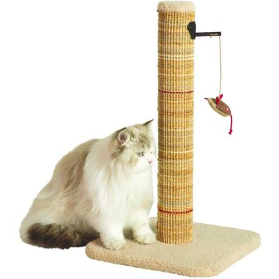 Poteau griffoir chat - ZOLUX - Sisal - Avec jouet suspendu - 60 cm - Boréal - Beige Beige - Publicité Poteau griffoir chat - ZOLUX - Sisal - Avec jouet suspendu - 60 cm - Boréal - Beige Beige - Publicité