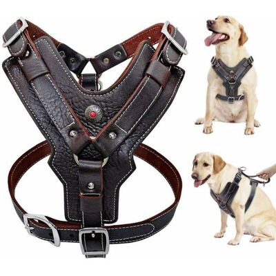 Harnais pour chien en cuir vritable durable rglable pour grands chiens Contrle rapide avec poigne Accessoires pour animaux PZCC - Publicité Harnais pour chien en cuir vritable durable rglable pour grands chiens Contrle rapide avec poigne Accessoires pour animaux PZCC - Publicité