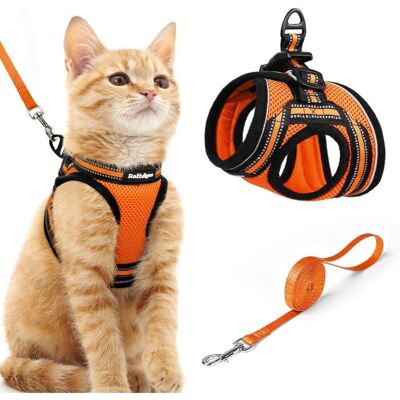 Rabbitgoo Harnais Chat Harnais pour chaton/petit chien Harnais Respirant et Bande Réfléchissante réglables -Taille M -Orange Orange - Publicité Rabbitgoo Harnais Chat Harnais pour chaton/petit chien Harnais Respirant et Bande Réfléchissante réglables -Taille M -Orange Orange - Publicité