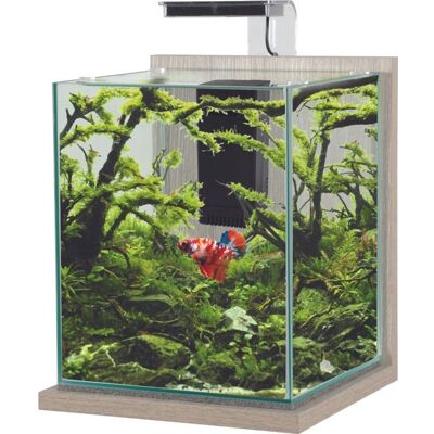 Aquarium poisson équipé 187 litres Jalaya XL zebrano gris - Zolux Gris Gris - Publicité Aquarium poisson équipé 187 litres Jalaya XL zebrano gris - Zolux Gris Gris - Publicité