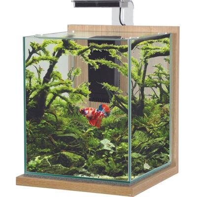 Aquarium poisson équipé 187 litres Jalaya XL chêne clair - Zolux Bois Beige - Publicité Aquarium poisson équipé 187 litres Jalaya XL chêne clair - Zolux Bois Beige - Publicité