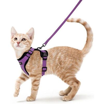 Rabbitgoo Harnais Chat Harnais pour petit chien chaton Harnais Anti-traction Chat Avec laisse réglables Taille S Violet Violet - Publicité Rabbitgoo Harnais Chat Harnais pour petit chien chaton Harnais Anti-traction Chat Avec laisse réglables Taille S Violet Violet - Publicité