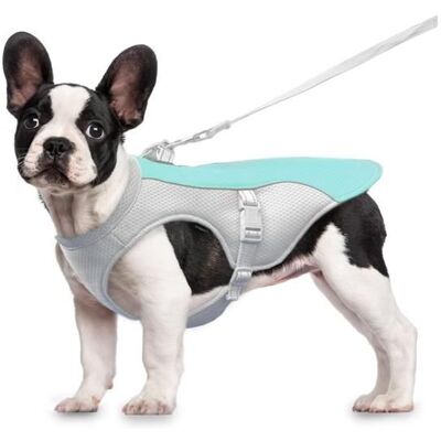 Gilet Rafraichissant Chien Veste Rafraîchissant Réglable pour Chien PetiteMoyenne Grande Taille Vêtement Manteau Rafraichissant M Bleu - Publicité Gilet Rafraichissant Chien Veste Rafraîchissant Réglable pour Chien PetiteMoyenne Grande Taille Vêtement Manteau Rafraichissant M Bleu - Publicité
