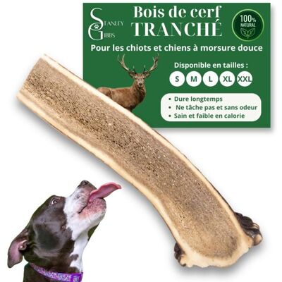 STANLEY GIBBS Bois de cerf pour Chien a Macher TRANCH Taille XL Friandise pour Chiots et Chiens de Tout ges Jouet Mastication 1 pice Marron - Publicité STANLEY GIBBS Bois de cerf pour Chien a Macher TRANCH Taille XL Friandise pour Chiots et Chiens de Tout ges Jouet Mastication 1 pice Marron - Publicité