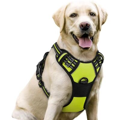 RABBITGOO Harnais Chien Réglable Harnais pour chien -Anti Traction Matériau Respirante Durable -Couleur Vert --Taille L Vert - Publicité RABBITGOO Harnais Chien Réglable Harnais pour chien -Anti Traction Matériau Respirante Durable -Couleur Vert --Taille L Vert - Publicité