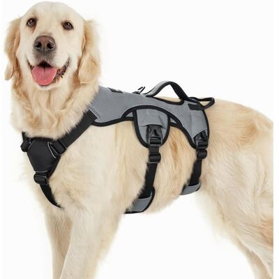 Rabbitgoo Harnais pour Chien avec Poignée de Levage Harnais Réglables pour Animaux de Compagnie Facile à Contrôler L Gris Gris - Publicité Rabbitgoo Harnais pour Chien avec Poignée de Levage Harnais Réglables pour Animaux de Compagnie Facile à Contrôler L Gris Gris - Publicité