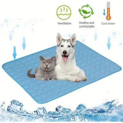 SANS MARQUE Tapis Rafraîchissant - Chien - Bleu - 62x50cm - Taille M - Auto-refroidissant Bleu - Publicité SANS MARQUE Tapis Rafraîchissant - Chien - Bleu - 62x50cm - Taille M - Auto-refroidissant Bleu - Publicité