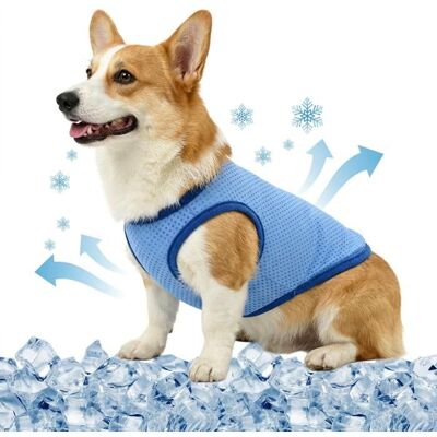 Veste de Refroidissement pour Chien Respirante été Gilet Rafraichissant Chien Style sans Manches Frais et Confortable (M) Bleu - Publicité Veste de Refroidissement pour Chien Respirante été Gilet Rafraichissant Chien Style sans Manches Frais et Confortable (M) Bleu - Publicité