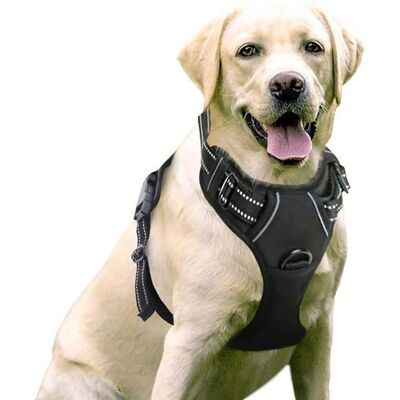PNUATICM Harnais Chien/Harnais pour Chien anti-traction - Noir taille XL -- Réglable Réfléchissant Matériau Respirant Label Noir - Publicité PNUATICM Harnais Chien/Harnais pour Chien anti-traction - Noir taille XL -- Réglable Réfléchissant Matériau Respirant Label Noir - Publicité