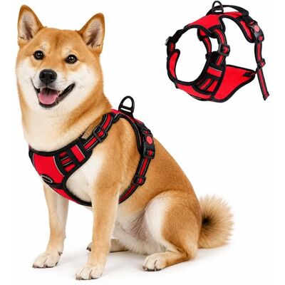 JupVierge Harnais Chien Anti Traction Rouge-M Arnet pour Chien Facile à Mettre Harnais Réfléchissant Réglable Rouge - Publicité JupVierge Harnais Chien Anti Traction Rouge-M Arnet pour Chien Facile à Mettre Harnais Réfléchissant Réglable Rouge - Publicité