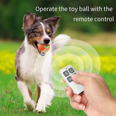LIU Balle de jouet interactive intelligente pour chien Balle de chien de compagnie Balle de jouet de chat à roulement automatique avec - Publicité LIU Balle de jouet interactive intelligente pour chien Balle de chien de compagnie Balle de jouet de chat à roulement automatique avec - Publicité