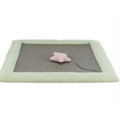 Trixie Junior Tapis à griffer - 47x47cm - Gris/Vert menthe - Publicité Trixie Junior Tapis à griffer - 47x47cm - Gris/Vert menthe - Publicité