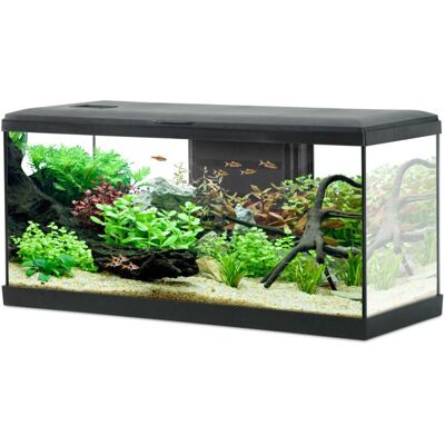 Aquarium poisson Tana LED 80cm noir - Zolux Noir Noir - Publicité Aquarium poisson Tana LED 80cm noir - Zolux Noir Noir - Publicité