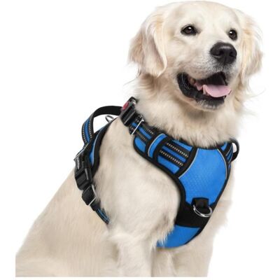 rabbitgoo Harnais Chien Anti Traction avec 3 boucles pour Chien Facile à Mettre Harnais Réfléchissant Réglable pour Chien Bleu XL Bleu - Publicité rabbitgoo Harnais Chien Anti Traction avec 3 boucles pour Chien Facile à Mettre Harnais Réfléchissant Réglable pour Chien Bleu XL Bleu - Publicité