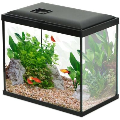 Aquarium Poisson Initio 30cm Noir - Zolux Noir - Publicité Aquarium Poisson Initio 30cm Noir - Zolux Noir - Publicité