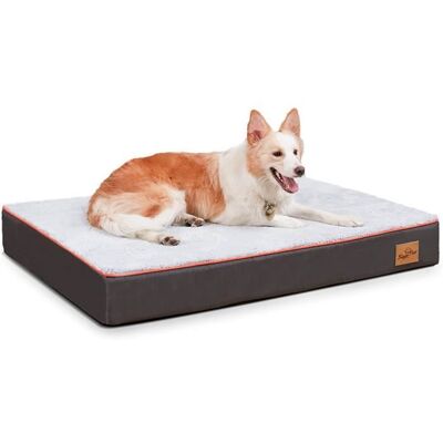 BingoPaw Lit pour Chien Orthopédique Panier Chien XXL Déhoussable Lavable Lit Chien Grande Taille 120 x 90 x 10 cm Gris - Publicité BingoPaw Lit pour Chien Orthopédique Panier Chien XXL Déhoussable Lavable Lit Chien Grande Taille 120 x 90 x 10 cm Gris - Publicité