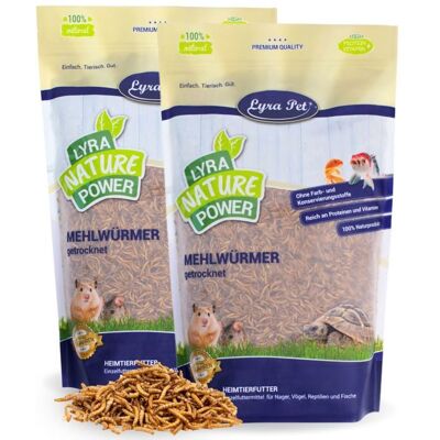 10 kg de vers de farine séchés Lyra Pet® - Publicité 10 kg de vers de farine séchés Lyra Pet® - Publicité