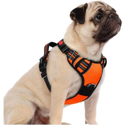 rabbitgoo Harnais Chien Anti Traction avec 3 boucles pour Chien Facile à Mettre Harnais Réfléchissant Réglable pour Chien orange S Orange - Publicité rabbitgoo Harnais Chien Anti Traction avec 3 boucles pour Chien Facile à Mettre Harnais Réfléchissant Réglable pour Chien orange S Orange - Publicité