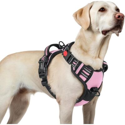 rabbitgoo Harnais Chien Anti Traction avec 3 boucles pour Chien Facile à Mettre Harnais Réfléchissant Réglable pour Chien Rose L Rose - Publicité rabbitgoo Harnais Chien Anti Traction avec 3 boucles pour Chien Facile à Mettre Harnais Réfléchissant Réglable pour Chien Rose L Rose - Publicité