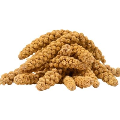 15 kg de germes de millet jaune Lyra Pet® - Publicité 15 kg de germes de millet jaune Lyra Pet® - Publicité