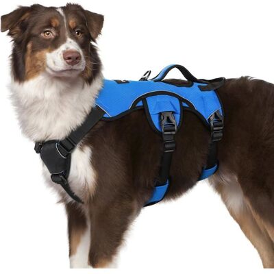 rabbitgoo Harnais pour Chien avec Poignée de Levage Harnais Réglables pour Animaux de Compagnie Facile à Contrôler M Bleu Bleu - Publicité rabbitgoo Harnais pour Chien avec Poignée de Levage Harnais Réglables pour Animaux de Compagnie Facile à Contrôler M Bleu Bleu - Publicité