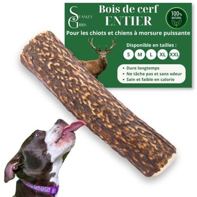 STANLEY GIBBS Bois de cerf pour Chien a Macher Entier Taille L Friandise pour Chiots et Chiens de Tout ges Jouet Mastication 1 pice Marron - Publicité STANLEY GIBBS Bois de cerf pour Chien a Macher Entier Taille L Friandise pour Chiots et Chiens de Tout ges Jouet Mastication 1 pice Marron - Publicité