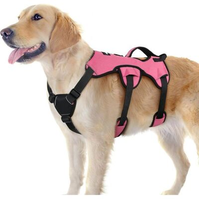 Rabbitgoo Harnais pour Chien avec Poignée de Levage Harnais Réglables pour Animaux de Compagnie Facile à Contrôler L Rose Rose - Publicité Rabbitgoo Harnais pour Chien avec Poignée de Levage Harnais Réglables pour Animaux de Compagnie Facile à Contrôler L Rose Rose - Publicité