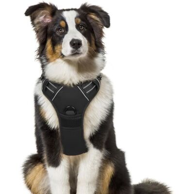 Rabbitgoo Gilet pour chien/Harnais Chien- Noir taille M -- Réglable Réfléchissant Matériau Respirant Noir - Publicité Rabbitgoo Gilet pour chien/Harnais Chien- Noir taille M -- Réglable Réfléchissant Matériau Respirant Noir - Publicité