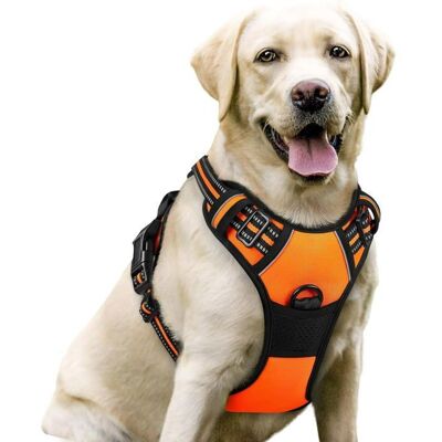 RABBITGOO Harnais Chien Harnais pour grand chien Orange taille L Anti Traction Réglable Réfléchissant Matériau Respirant Orange - Publicité RABBITGOO Harnais Chien Harnais pour grand chien Orange taille L Anti Traction Réglable Réfléchissant Matériau Respirant Orange - Publicité