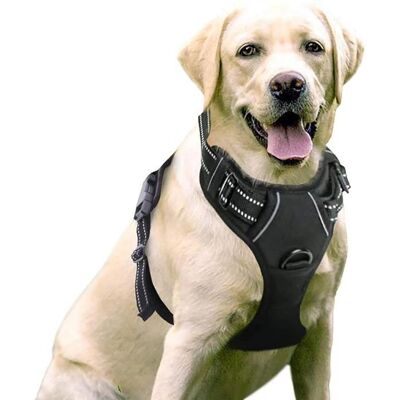Harnais anti-traction rabbitgoo L pour petit chien réglable et réfléchissant attache frontale noir Noir - Publicité Harnais anti-traction rabbitgoo L pour petit chien réglable et réfléchissant attache frontale noir Noir - Publicité