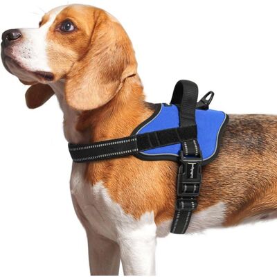 RABBITGOO Harnais Chien Harnais Anti Traction pour Chien Réfléchissant Réglable Respirant Facile à Mettre avec Poignée Contrôle Bleu M Bleu - Publicité RABBITGOO Harnais Chien Harnais Anti Traction pour Chien Réfléchissant Réglable Respirant Facile à Mettre avec Poignée Contrôle Bleu M Bleu - Publicité