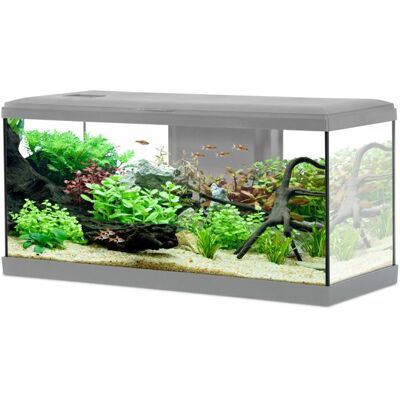 Aquarium poisson Tana LED 80cm gris - Zolux Gris Gris - Publicité Aquarium poisson Tana LED 80cm gris - Zolux Gris Gris - Publicité