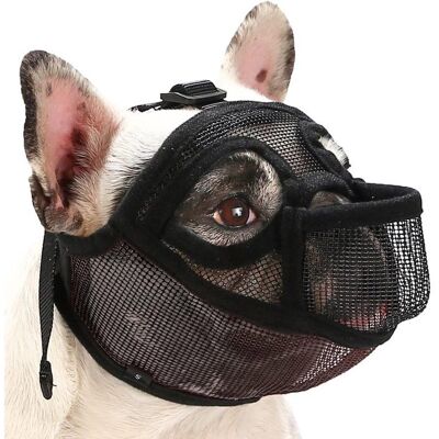 CROSHACK Muselière pour Bouledogue français - Muselière courte en maille - Muselière avec dégagement pour la langue - Convient aux chiens à - Publicité CROSHACK Muselière pour Bouledogue français - Muselière courte en maille - Muselière avec dégagement pour la langue - Convient aux chiens à - Publicité