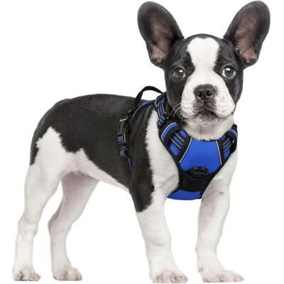 Rabbitgoo Harnais Chien Anti Traction Bleu XS Harnais pour Petit Chien avec Poignée Facile à Mettre Gilet Réglable Réfléchissant Bleu - Publicité Rabbitgoo Harnais Chien Anti Traction Bleu XS Harnais pour Petit Chien avec Poignée Facile à Mettre Gilet Réglable Réfléchissant Bleu - Publicité