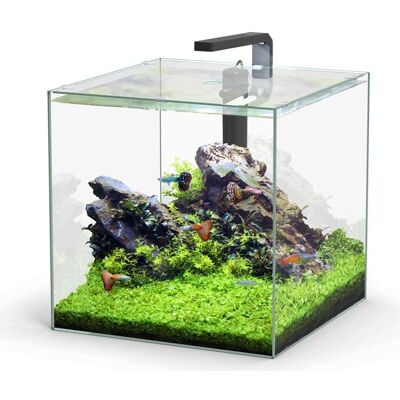 AS Aquaristik - aquatlantis Kubus LED 54L - LED - Kubus - Ensemble d'aquarium - Publicité AS Aquaristik - aquatlantis Kubus LED 54L - LED - Kubus - Ensemble d'aquarium - Publicité