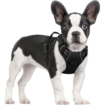 RABBITGOO Harnais Chien Anti Traction Noir XS Harnais Chien avec Poignée Facile à Mettre Gilet Réglable Réfléchissant pour Petit Chien Noir - Publicité RABBITGOO Harnais Chien Anti Traction Noir XS Harnais Chien avec Poignée Facile à Mettre Gilet Réglable Réfléchissant pour Petit Chien Noir - Publicité