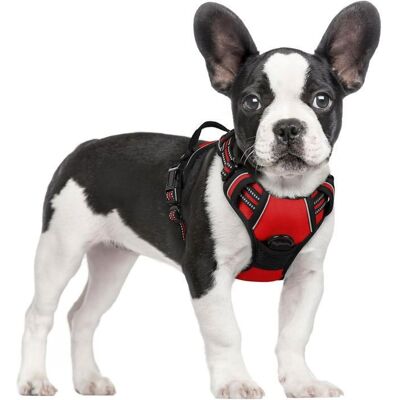 RABBITGOO Harnais Chien Anti Traction Rouge XS Harnais pour Petit Chien avec Poignée Facile à Mettre Gilet Réglable Réfléchissant Rouge - Publicité RABBITGOO Harnais Chien Anti Traction Rouge XS Harnais pour Petit Chien avec Poignée Facile à Mettre Gilet Réglable Réfléchissant Rouge - Publicité