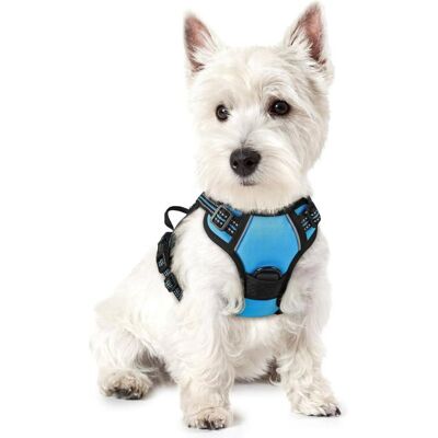 RABBITGOO Harnais Chien Anti Traction Bleu Clair XS Harnais Chien avec Poignée Facile à Mettre Gilet Réglable Réfléchissant pour Petit Chien Bleu - Publicité RABBITGOO Harnais Chien Anti Traction Bleu Clair XS Harnais Chien avec Poignée Facile à Mettre Gilet Réglable Réfléchissant pour Petit Chien Bleu - Publicité